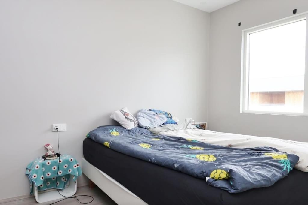 Nice & Cozy Two Bedroom Apartment With A Balcony Akureyri Exteriér fotografie